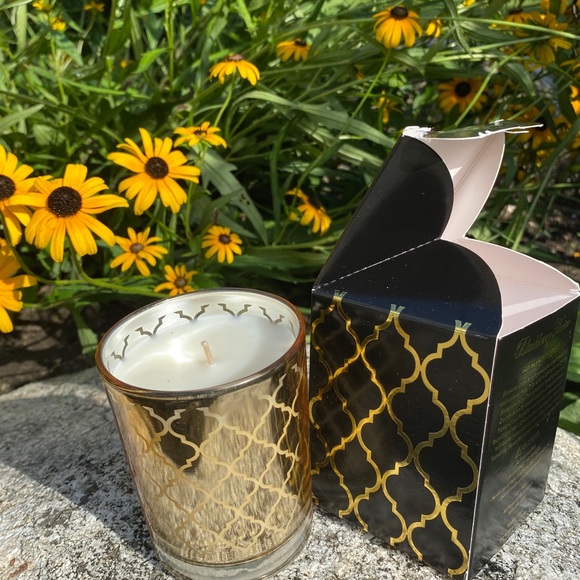 D.L. & Co. Other - NWT BlackBerry Nectar Soy Blended Candle